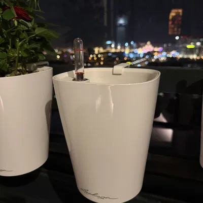 Bộ giá treo chậu cây Lechuza Deltini/Delta - Giải pháp treo chậu ban công