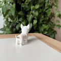 Mô hình 3D thực tế chó English Bull Terrier - Thumbnail 3
