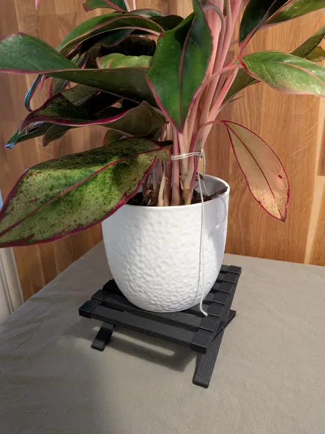 Đôn kệ sách (Bookshelf riser) - Image 5