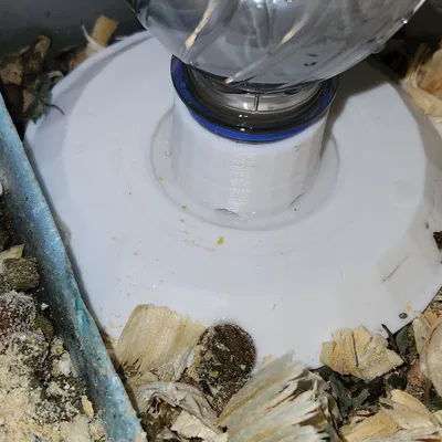 Dụng cụ cấp nước tự động in 3D cho bò sát và côn trùng cảnh