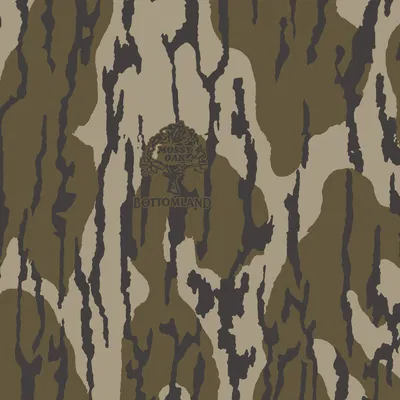 Mô hình chú mèo coike trang trí để bàn cực kỳ dễ thương