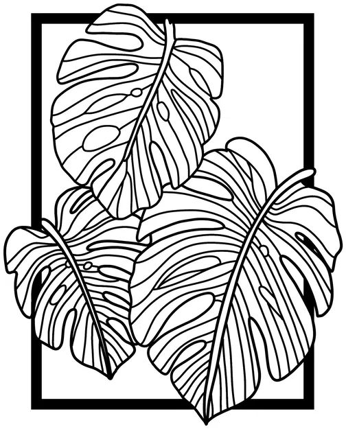 Mẫu tranh treo tường 3D họa tiết lá cây Monstera cực đẹp - Image 1