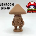 Mushroom Ninja - Bộ sưu tập Shooms! - Thumbnail 1