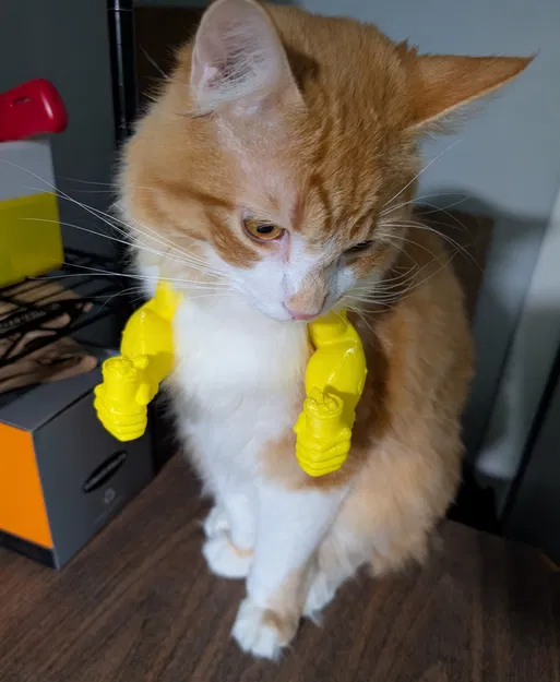 Tay Popeye cho mèo cưng - Image 4