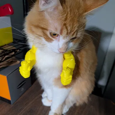 Tay Popeye cho mèo cưng