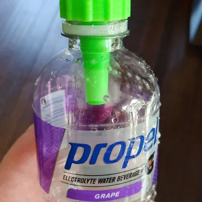 Bẫy ong bắp cày (Cho chai nước ngọt 12oz - 2 lít)