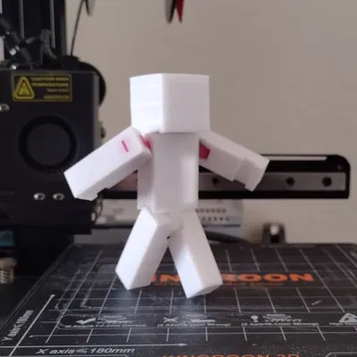 Mô hình Steve cử động được (Steve figure)