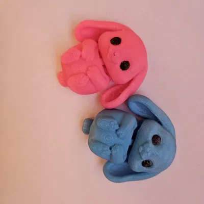 Chú thỏ Flexi xinh xắn