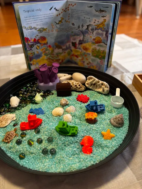 Đồ chơi cảm giác - Bộ mô hình sinh vật biển - Image 2