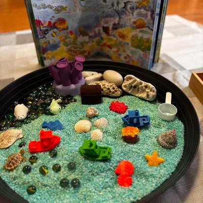 Đồ chơi cảm giác - Bộ mô hình sinh vật biển