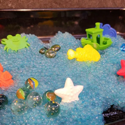 Đồ chơi cảm giác - Bộ mô hình sinh vật biển