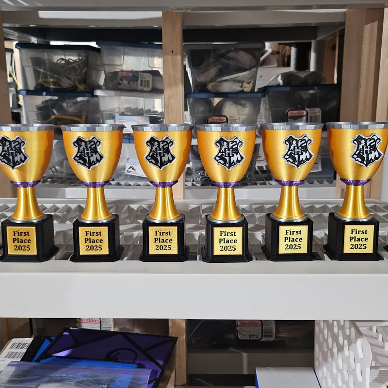 Cúp "Mini" Giải Thưởng Hogwarts