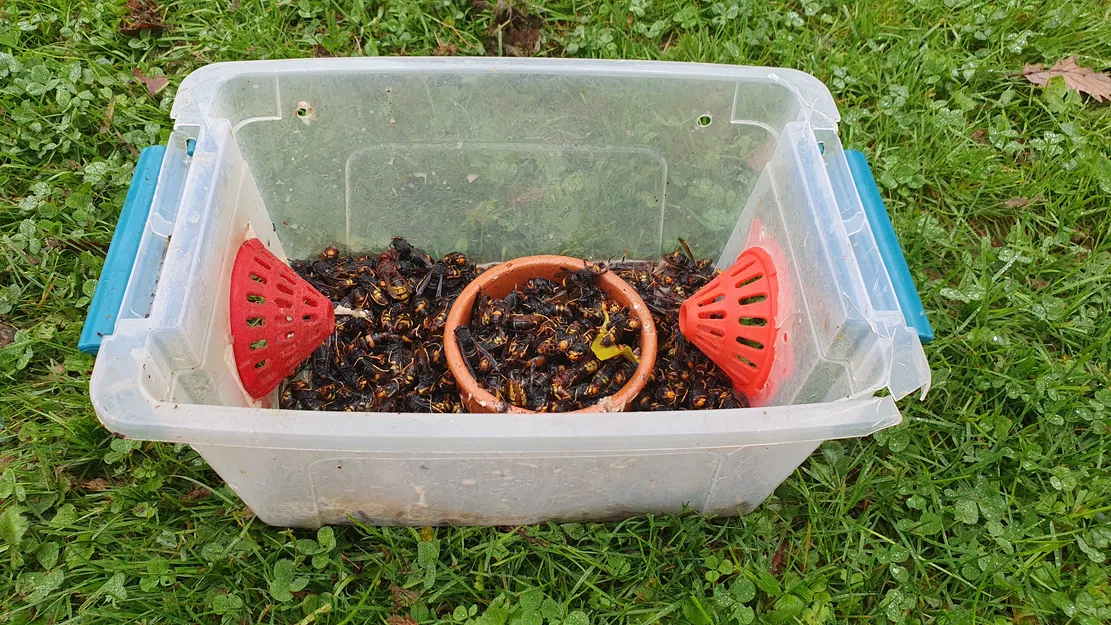 Phễu in 3D Hor'N'Stop: Giải pháp tự chế bẫy ong bắp cày hiệu quả - Image 6