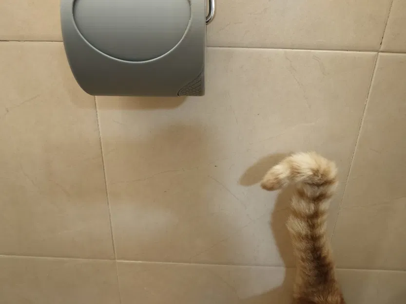 Giáp Bảo Vệ Giấy Vệ Sinh TP Cat Armor - Image 2