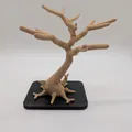 Cây Bonsai Nam Châm Để Bàn - Tán Lá Tháo Lắp Linh Hoạt - Thumbnail 2