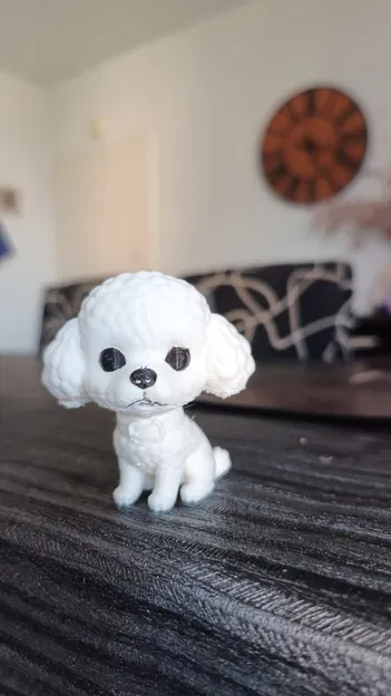 Cute Caniche - Chú chó nhỏ đáng yêu - Image 1