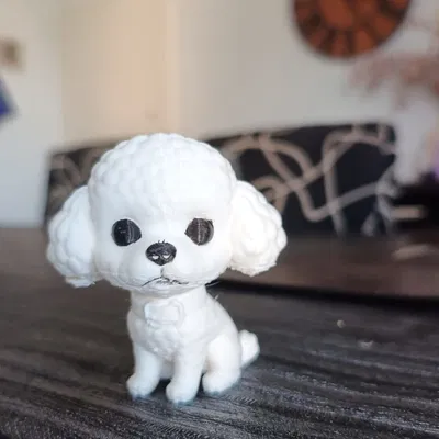 Cute Caniche - Chú chó nhỏ đáng yêu