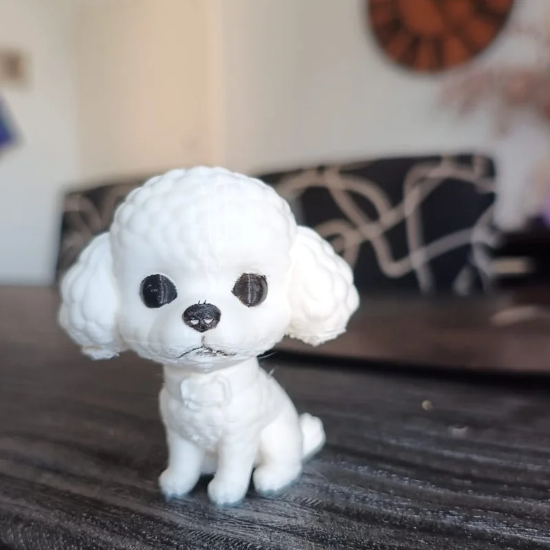 Cute Caniche - Chú chó nhỏ đáng yêu