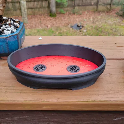 Chậu Bonsai có lưới và tùy chọn dây buộc