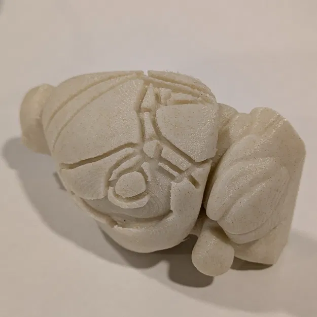 Mô hình não chuột với các phân vùng vỏ não - Image 2