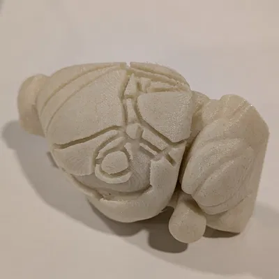 Mô hình não chuột với các phân vùng vỏ não