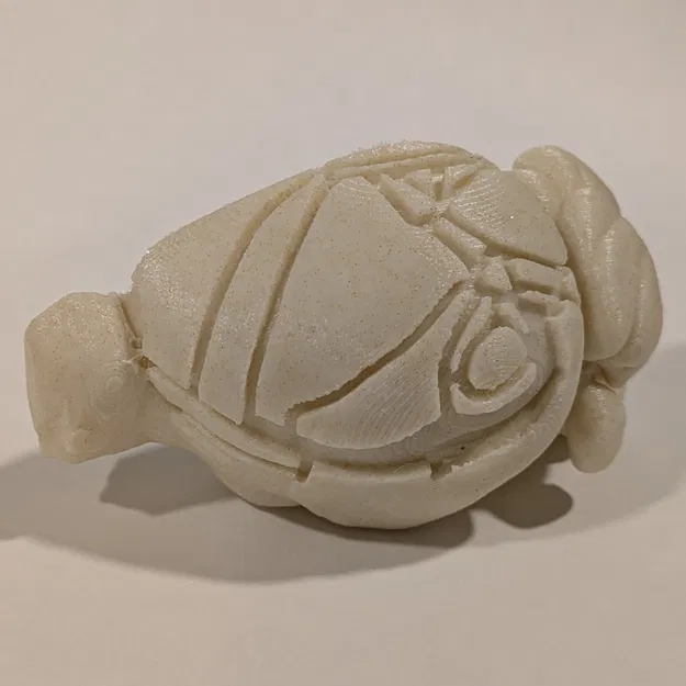 Mô hình não chuột với các phân vùng vỏ não - Image 3