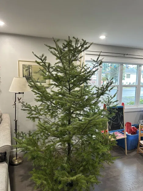 Bộ nối dài chân đế cây thông Noel 1/4-20NPT hoặc 7.5mm - Image 2