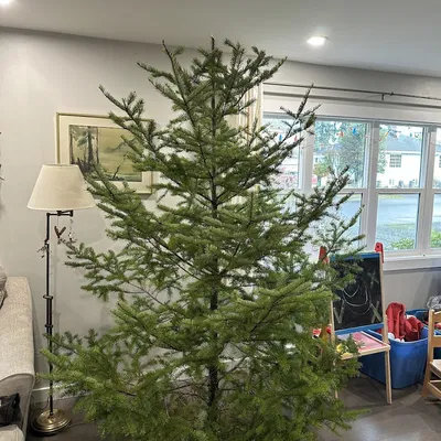 Bộ nối dài chân đế cây thông Noel 1/4-20NPT hoặc 7.5mm