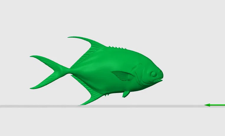 Mô hình Cá chim Permit / Trachinotus falcatus - Image 1