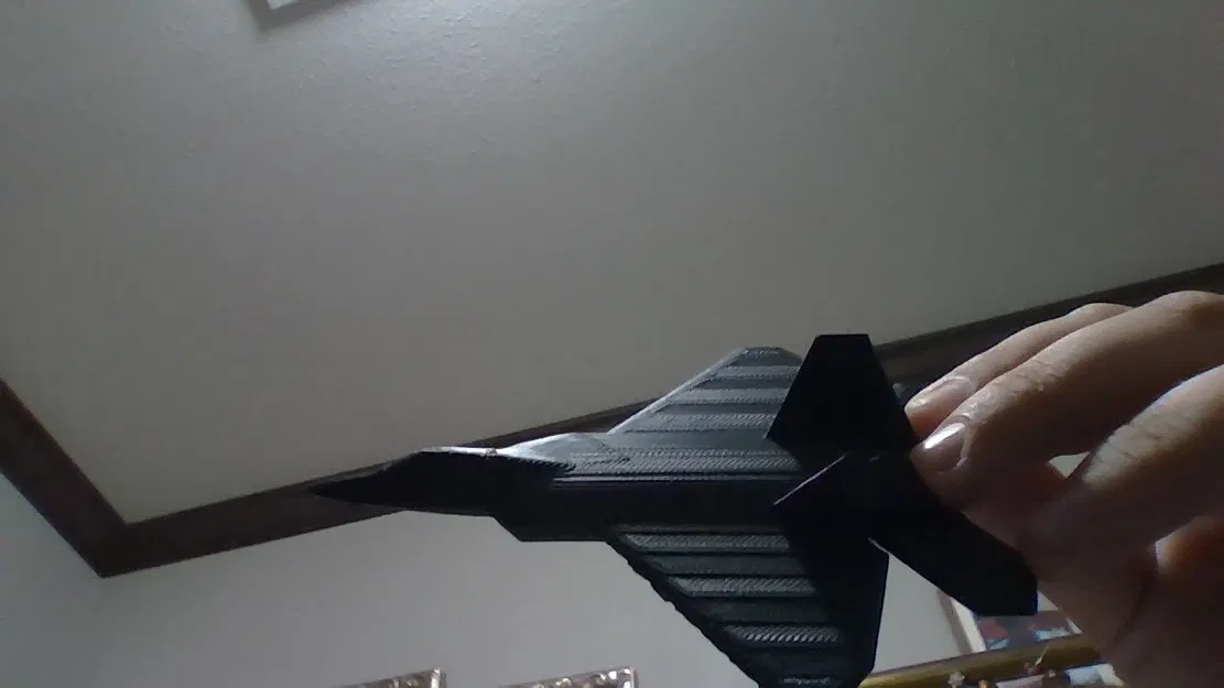 Mô hình máy bay chiến đấu F-22 Raptor in 3D độc đáo - Image 1