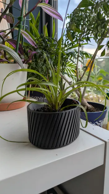 Chậu cây tham số (Parametric Plant Pot) - Image 1