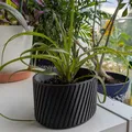 Chậu cây tham số (Parametric Plant Pot) - Thumbnail 1