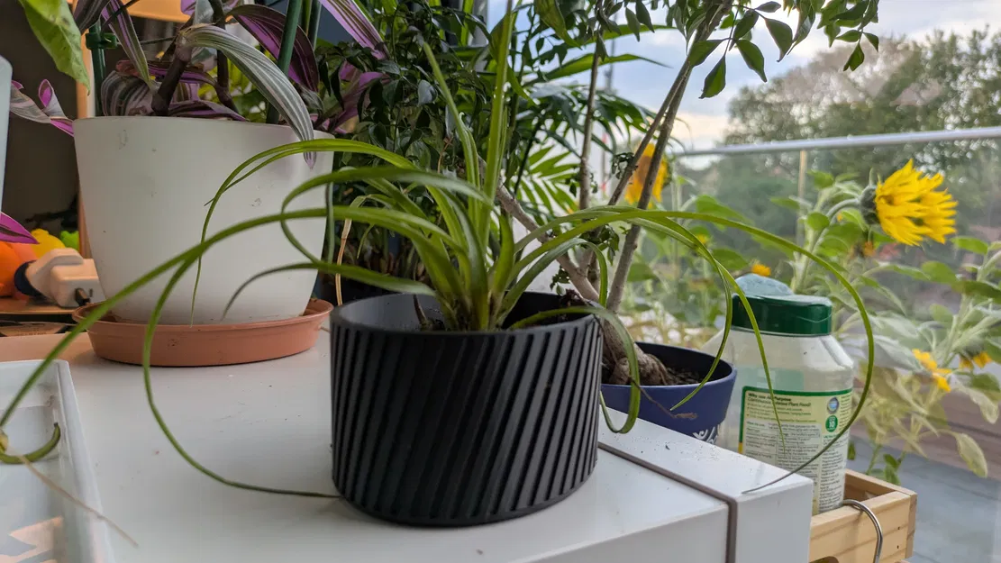 Chậu cây tham số (Parametric Plant Pot) - Image 2