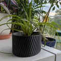 Chậu cây tham số (Parametric Plant Pot) - Thumbnail 2