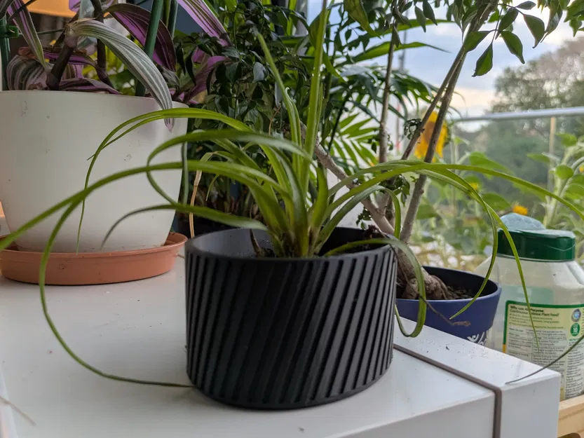 Chậu cây tham số (Parametric Plant Pot) - Image 3