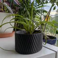 Chậu cây tham số (Parametric Plant Pot) - Thumbnail 3