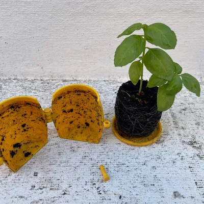 Chậu trồng cây thông minh có thể tái sử dụng