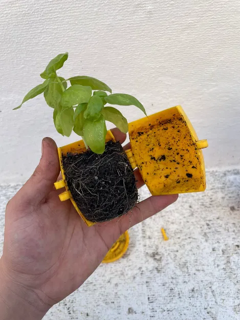 Chậu trồng cây thông minh có thể tái sử dụng - Image 2