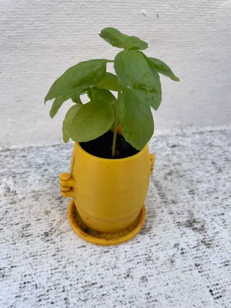 Chậu trồng cây thông minh có thể tái sử dụng - Image 3