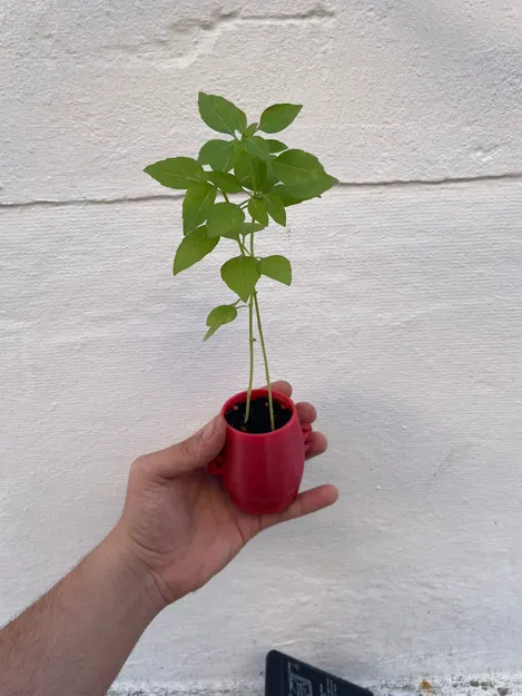 Chậu trồng cây thông minh có thể tái sử dụng - Image 4