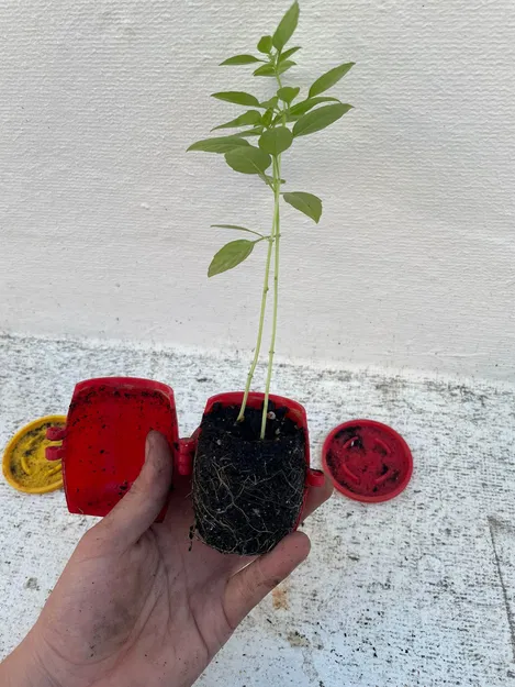 Chậu trồng cây thông minh có thể tái sử dụng - Image 5