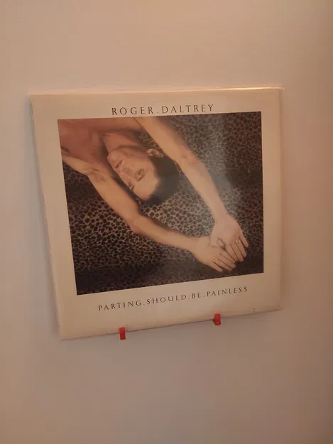 Giá đỡ đĩa than, treo tường bằng móc - Image 4