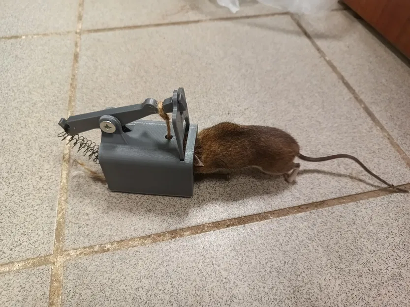 Mô hình bẫy chuột cơ học (The Mousetrap) tự in 3D tại nhà - Image 3