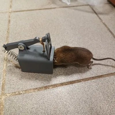 Mô hình bẫy chuột cơ học (The Mousetrap) tự in 3D tại nhà