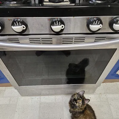 NÚM VẶN BẾP HÌNH CỐC TRÀ / CỐC CÀ PHÊ