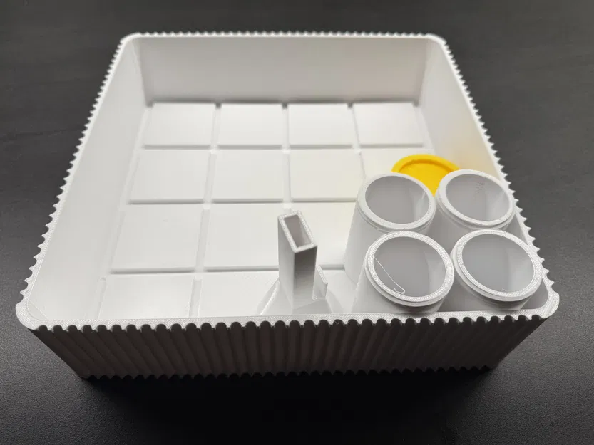 Khay ươm cây giống trong các khối giá thể nén - Image 5