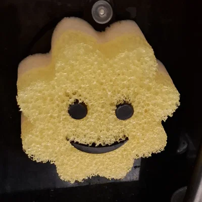 Giá treo miếng bọt biển Scrubdaddy/mommy