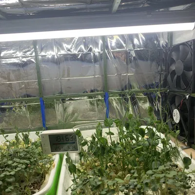 Khung Giàn Giáo Modular Cho Microgreens (Thanh ray 18cm)