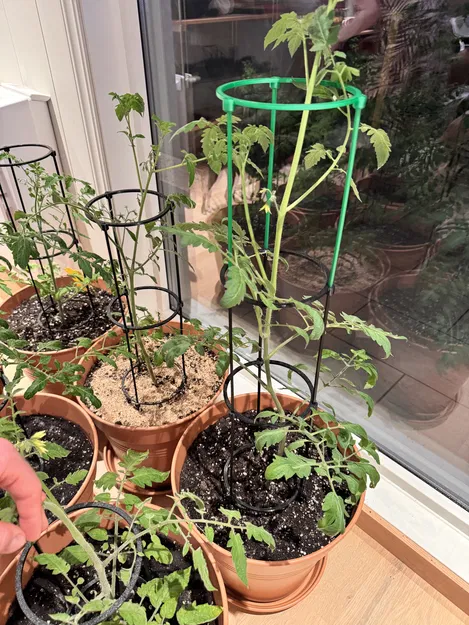 Khung hỗ trợ cây cà chua 3 điểm in 3D đơn giản và hiệu quả - Image 3