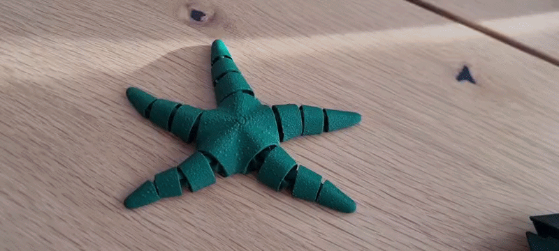 Mô hình sao biển khớp nối linh hoạt in 3D (Articulated Flexi Seastar) - Image 1